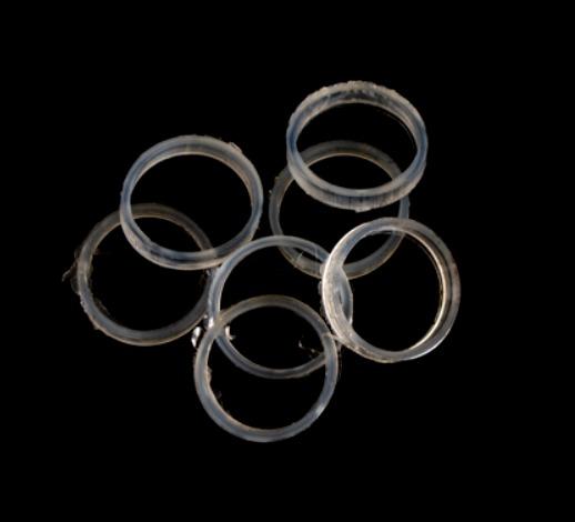 Imagen de la tarjeta